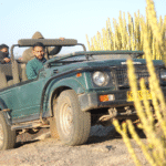 Gypsy jeep used for Jawai Leopard Safari near Jawai hills in Rajasthan