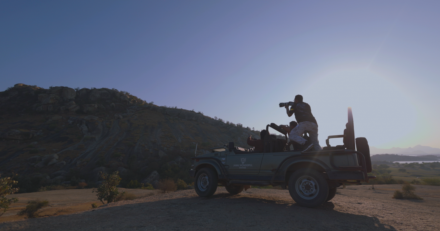 Experience the Best Jawai Leopard Safari in Rajasthan (4)