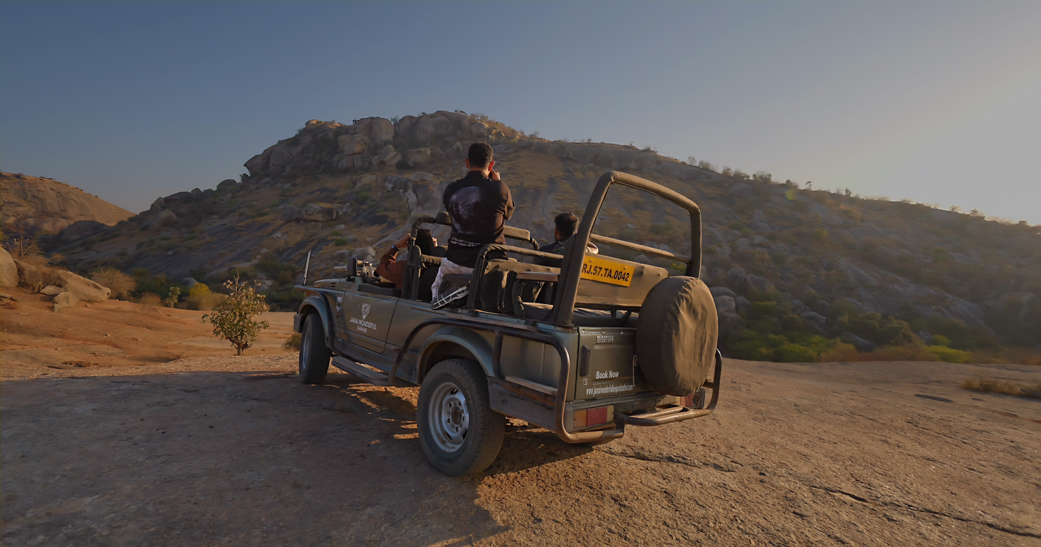 Experience the Best Jawai Leopard Safari in Rajasthan (6)