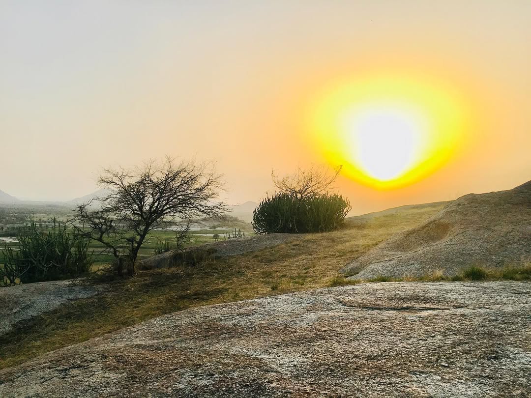 Experience the Best Jawai Leopard Safari in Rajasthan jawai safari (1)