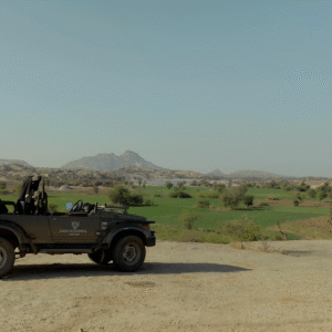 Leopard sighted during Full Day Safari in Jawai Rajasthan