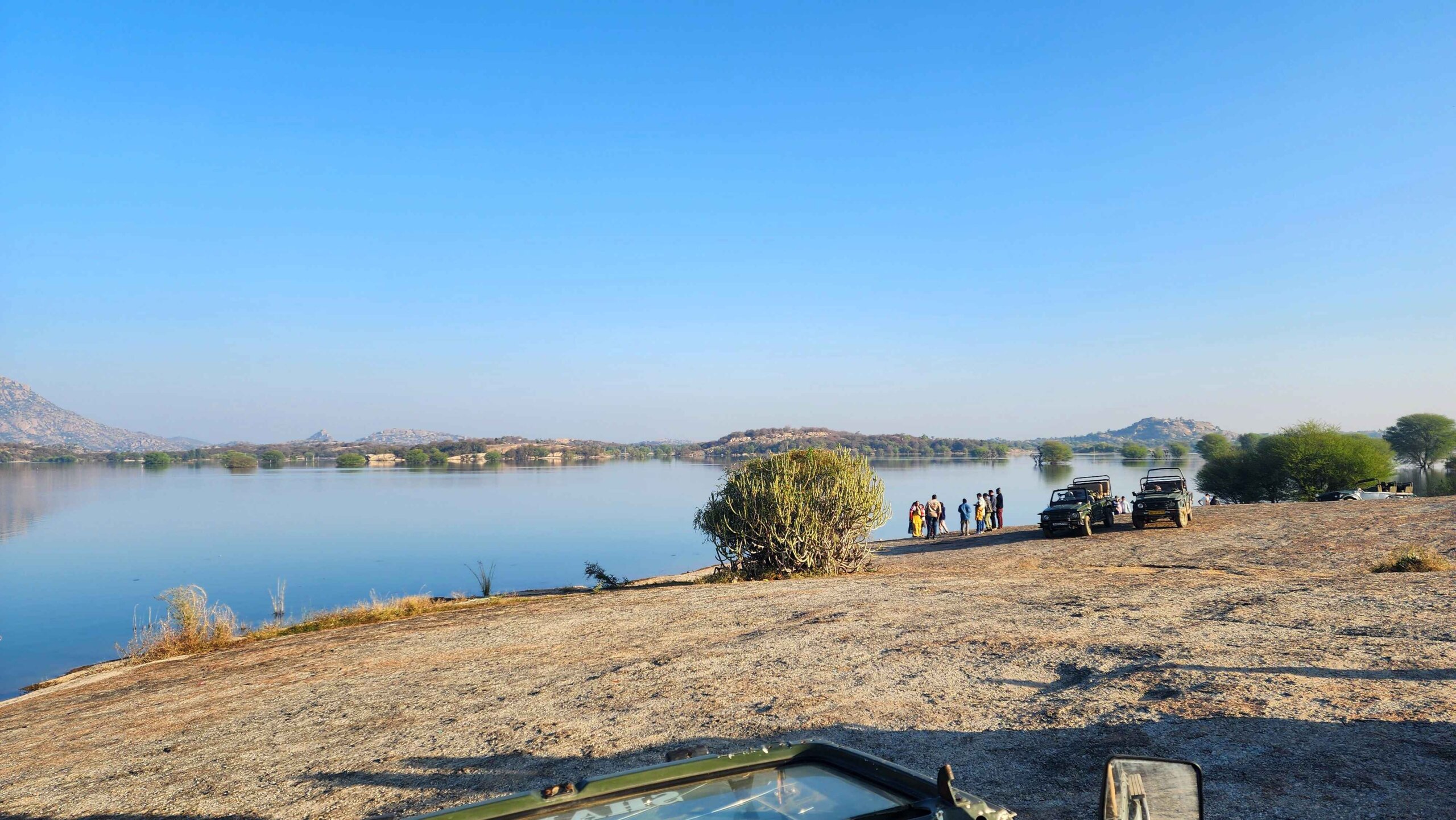 Best Things to Do in Jawai: Your Complete Travel Guide Jawai Dam early morning view with tourists and safari jeeps, one of the best things to do in Jawai