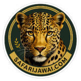 safari jawai leopard safari rajasthan logo
