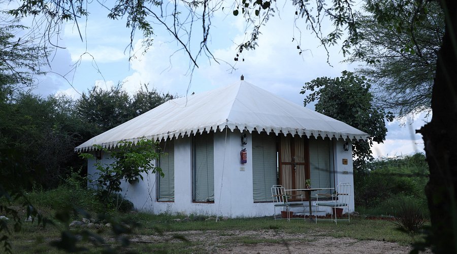 Sultan e Jawai luxury camp booking